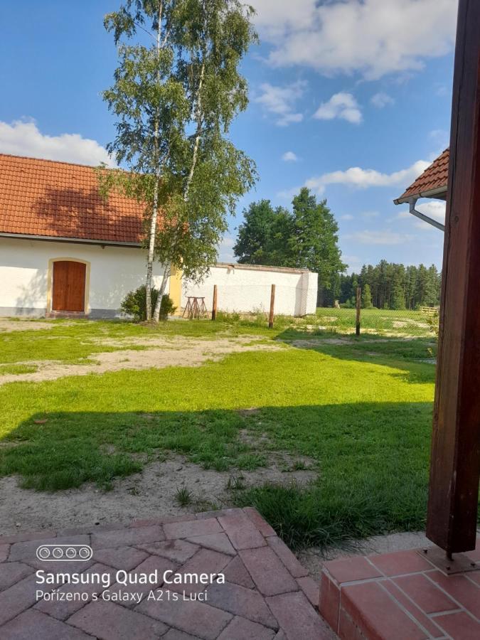 Kojan Daire Jílovice Dış mekan fotoğraf